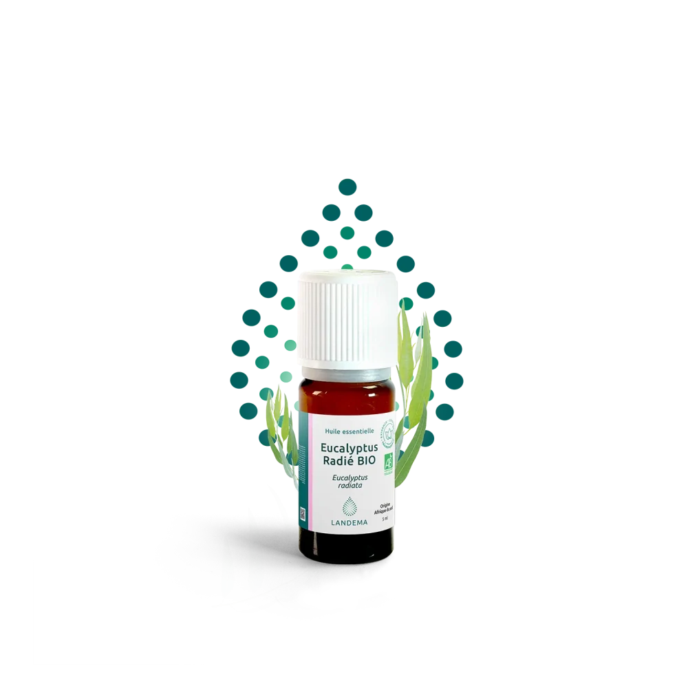 Eukalyptus radiata BIO 5 ml