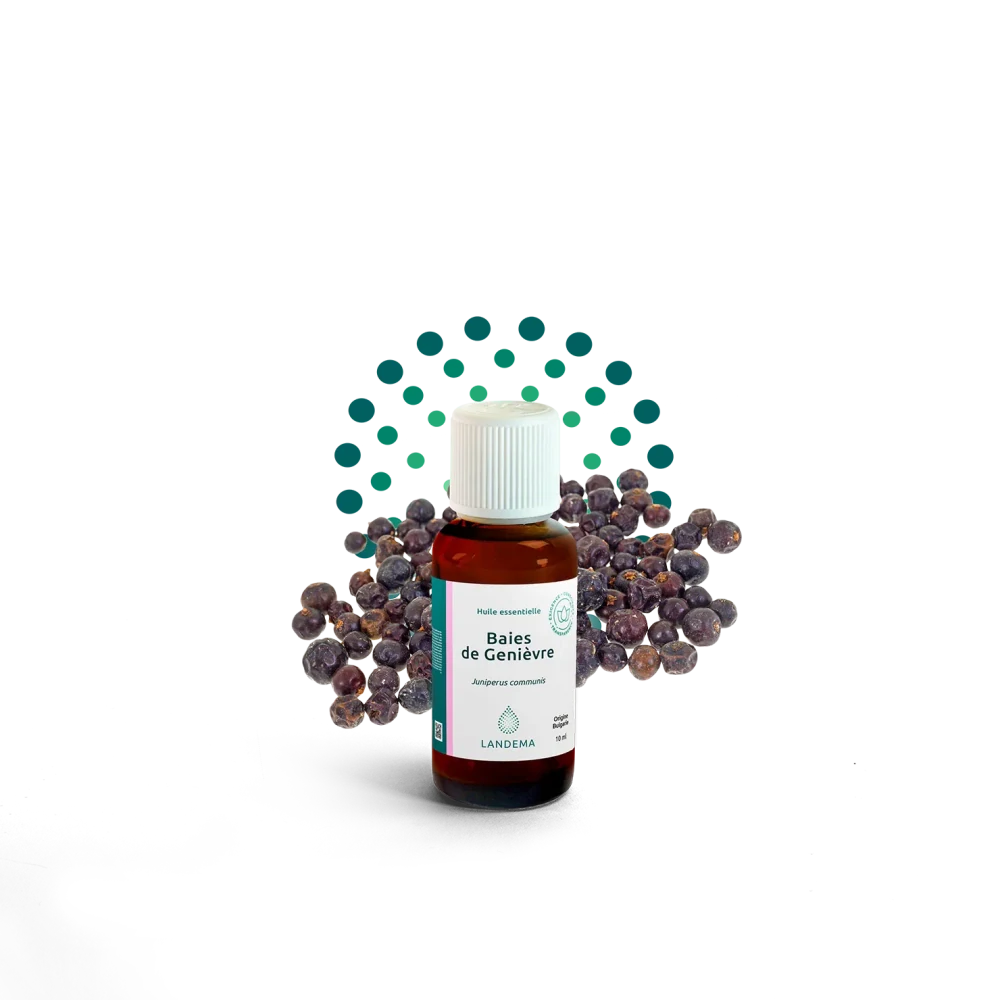 Jalovec obecný bobule 10 ml