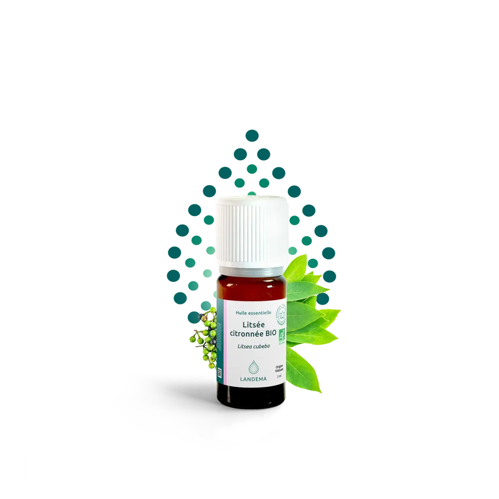 Litsea cubeba BIO 5 ml