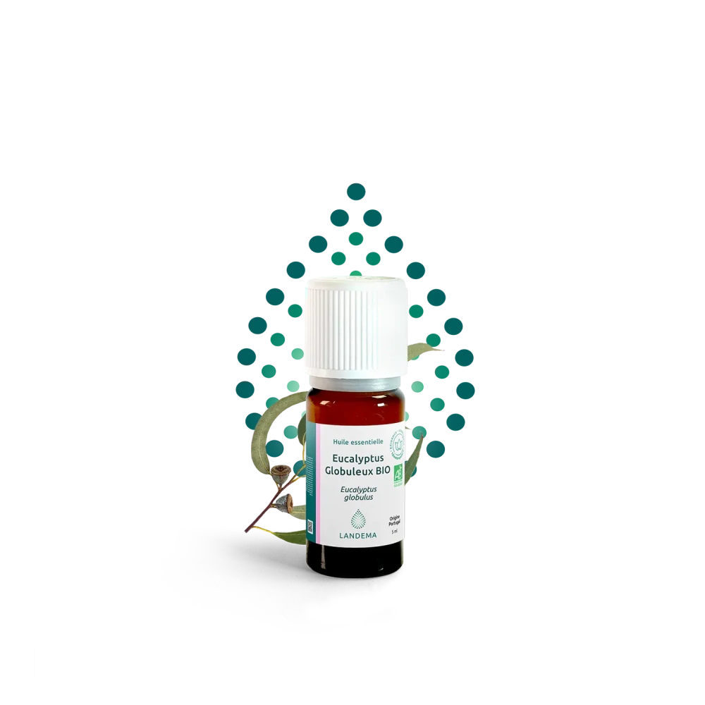 Eukalyptus globulus BIO 5 ml