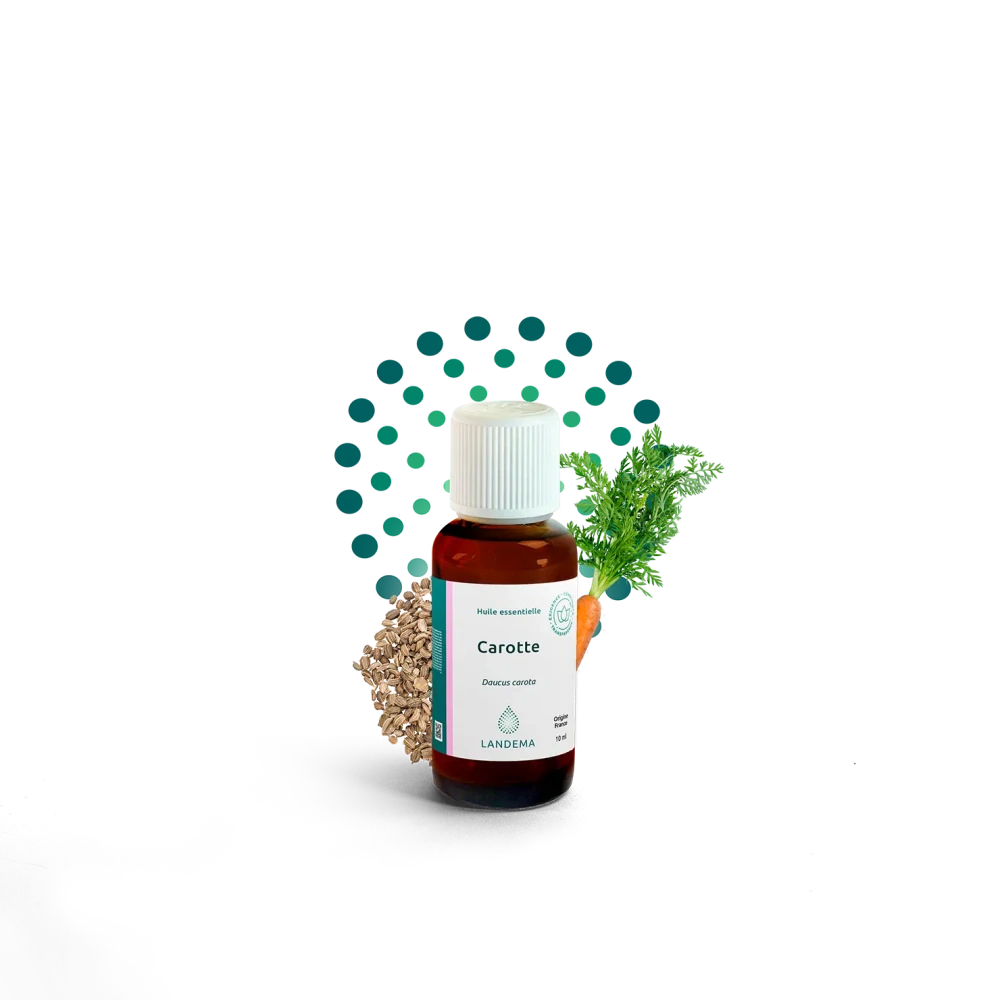 Mrkev (karotka) - 10 ml