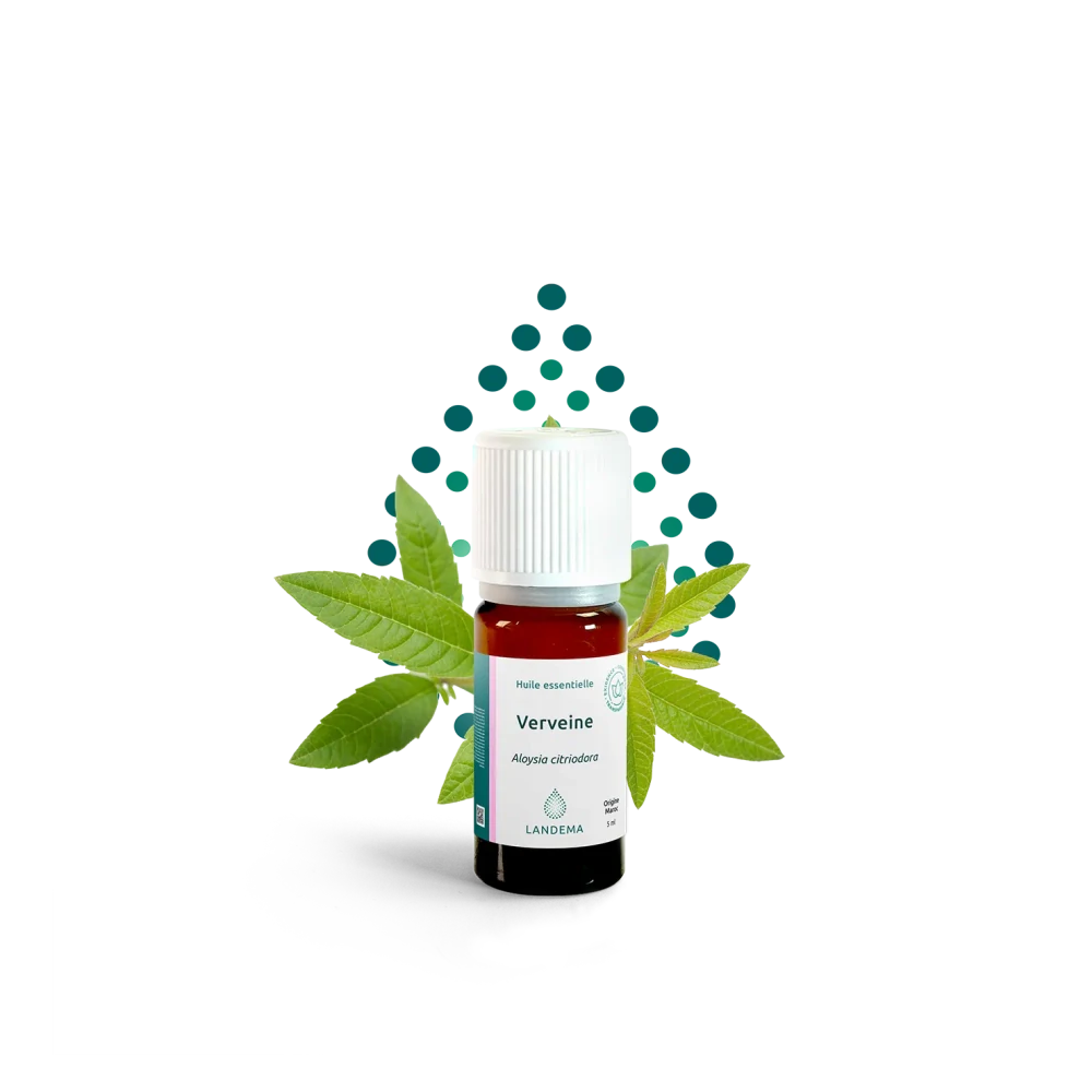 Verbena citronová 5 ml