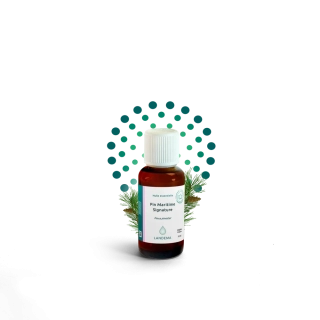 Borovice přímořská 10 ml