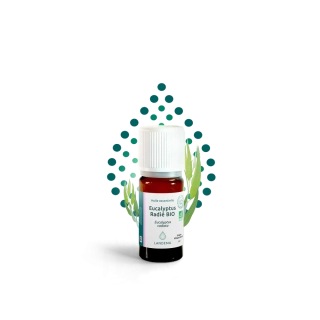 Eukalyptus radiata BIO 5 ml