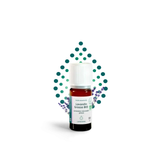 Lavandin grosso BIO 5 ml