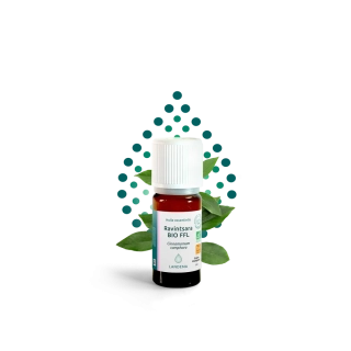 Ravintsara BIO 5 ml