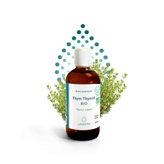 Tymián thymol BIO 10 ml