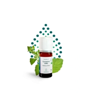 Máta rolní BIO 5 ml