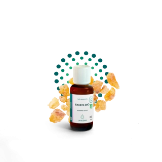 Kadidlo BIO 10 ml