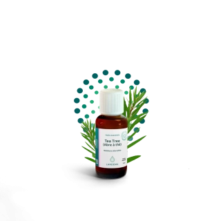 Tea tree/čajovník BIO 5 ml