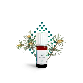 Borovice lesní BIO 5 ml