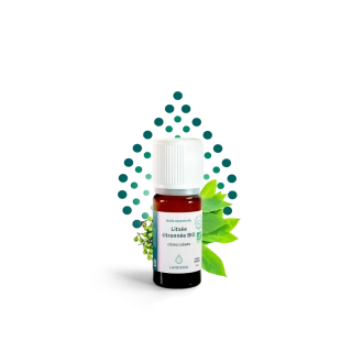 Litsea cubeba BIO 5 ml