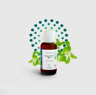 Dobromysl/oregáno BIO 10 ml
