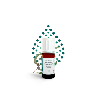 Eukalyptus globulus BIO 5 ml