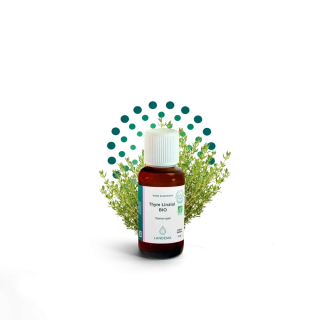 Tymián linalol BIO 10 ml