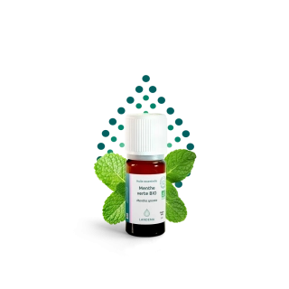 Máta klasnatá BIO 5 ml