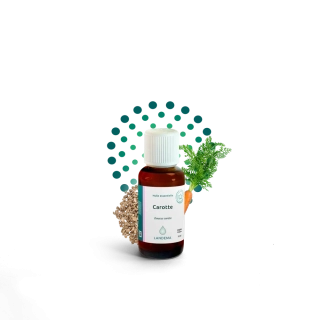 Mrkev (karotka) - 10 ml